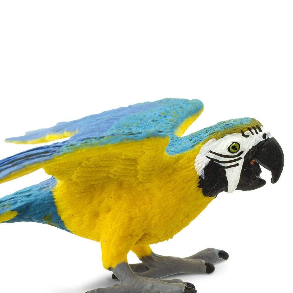 Figurină realistă Papagal cu pieptul galben – Safari Ltd