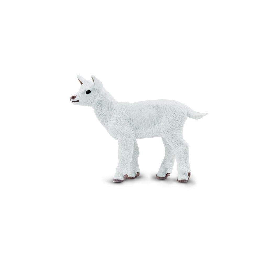 Figurină realistă ied – Safari Ltd