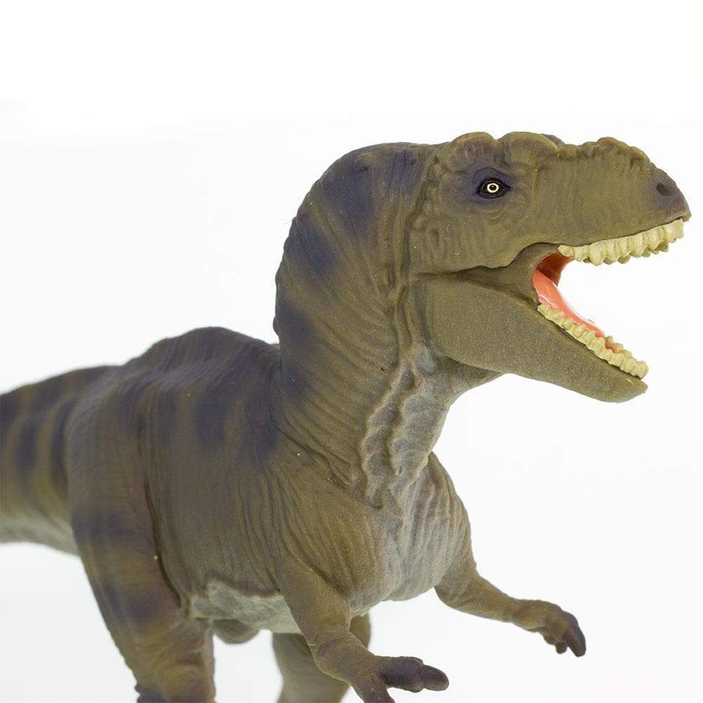 Figurină realistă Dinozaur Tyrannosaurus rex - Safari Ltd.