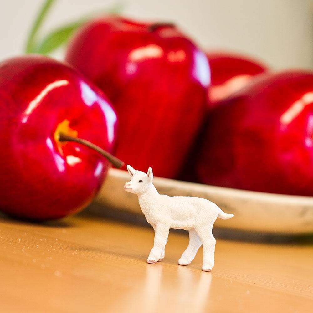 Figurină realistă ied – Safari Ltd
