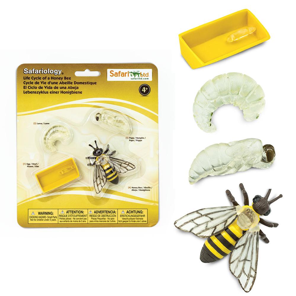Ciclul de viață al albinei, set de 4 – Safari Ltd