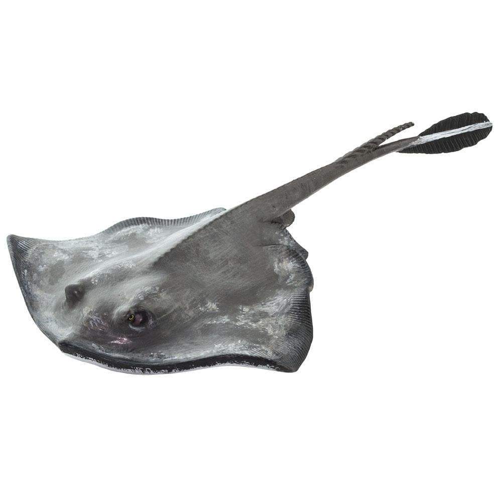 Figurină realistă pisică de mare, 18 cm – Safari Ltd