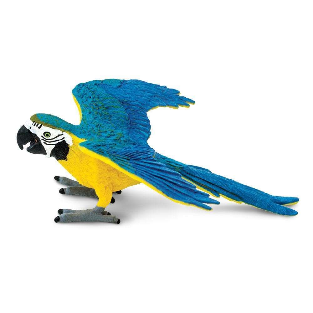 Figurină realistă ara albastră și galbenă, 11,4 x 8,9 cm – Safari Ltd