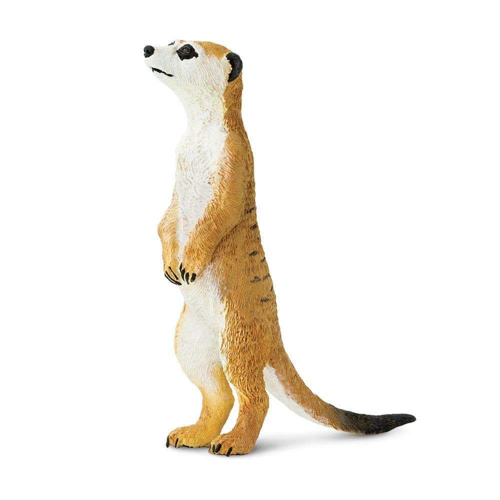 Figurină suricată realistă, 8,3 cm – Safari Ltd