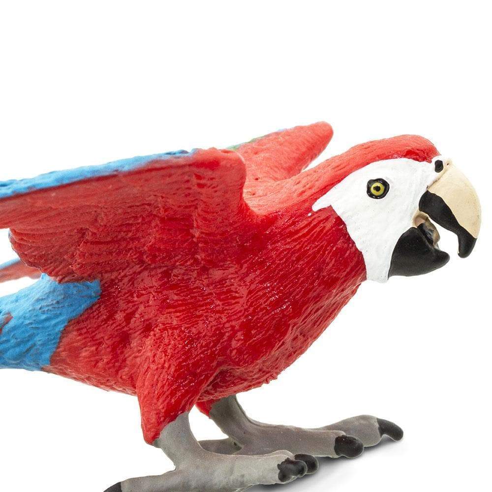 Figurină realistă papagal - Safari Ltd.