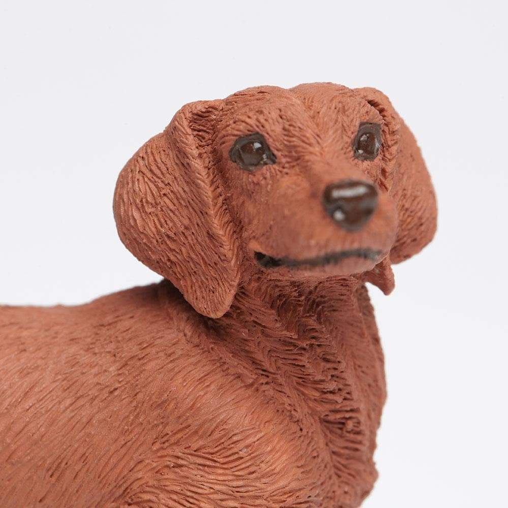Figurină realistă câine Dachshund – Safari Ltd