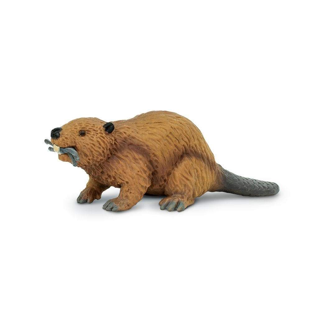 Figurină castor realistă, 10,2 cm – Safari Ltd