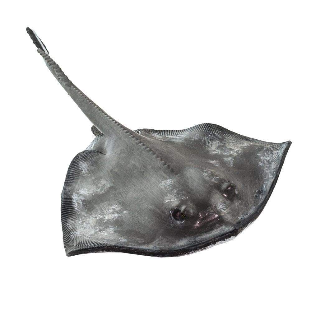 Figurină realistă pisică de mare – Safari Ltd