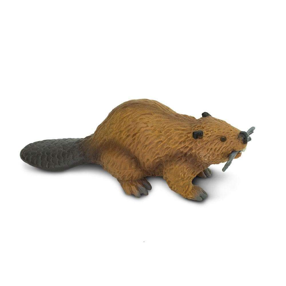 Figurină realistă castor – Safari Ltd
