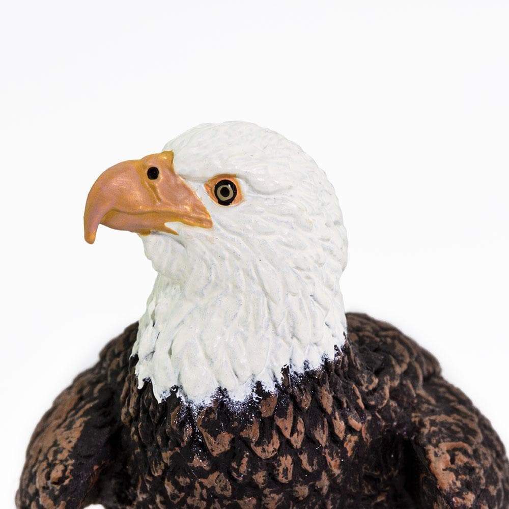 Figurină realistă vultur pleșuv – Safari Ltd