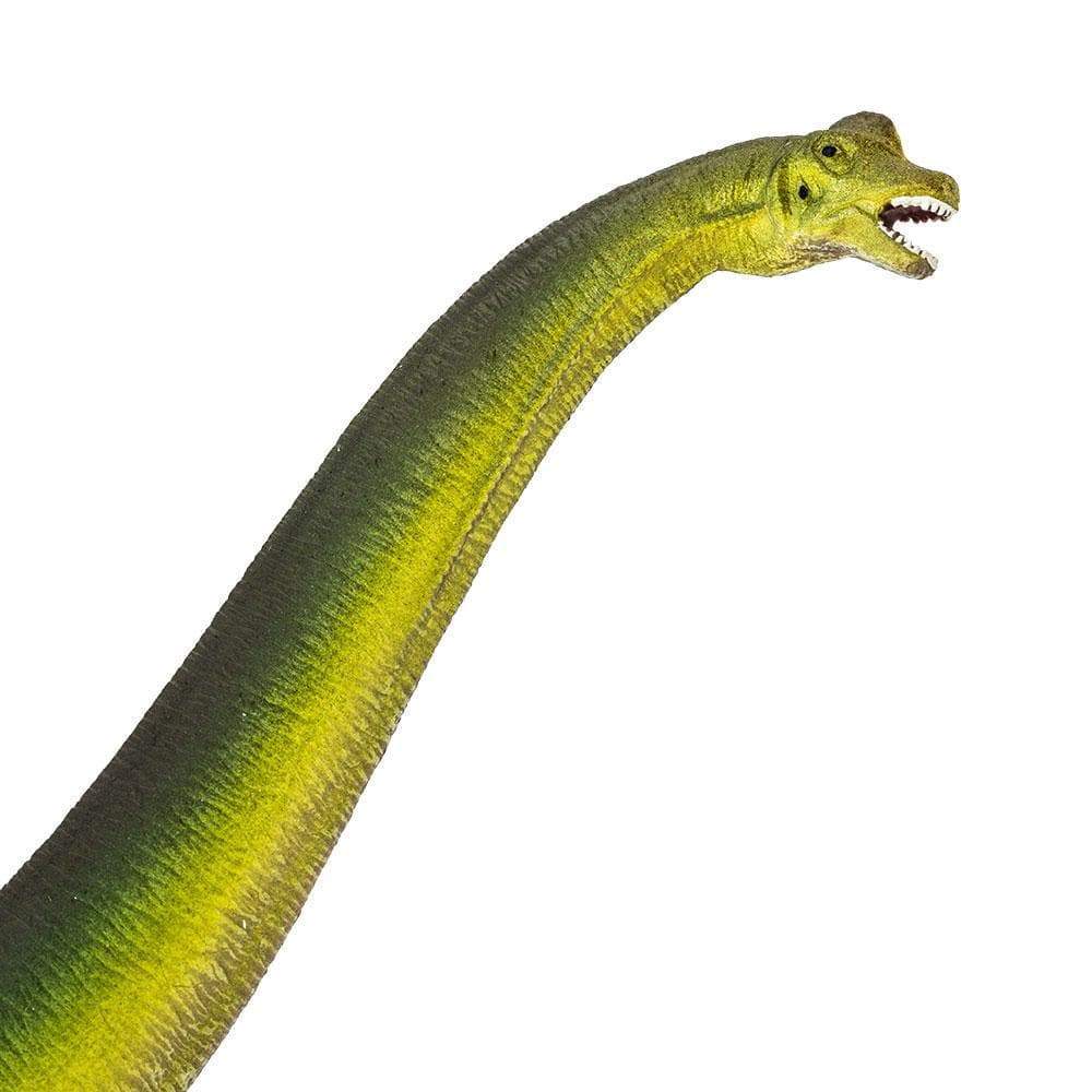 Figurină realistă Dinozaur Brachiosaurus - Safari Ltd