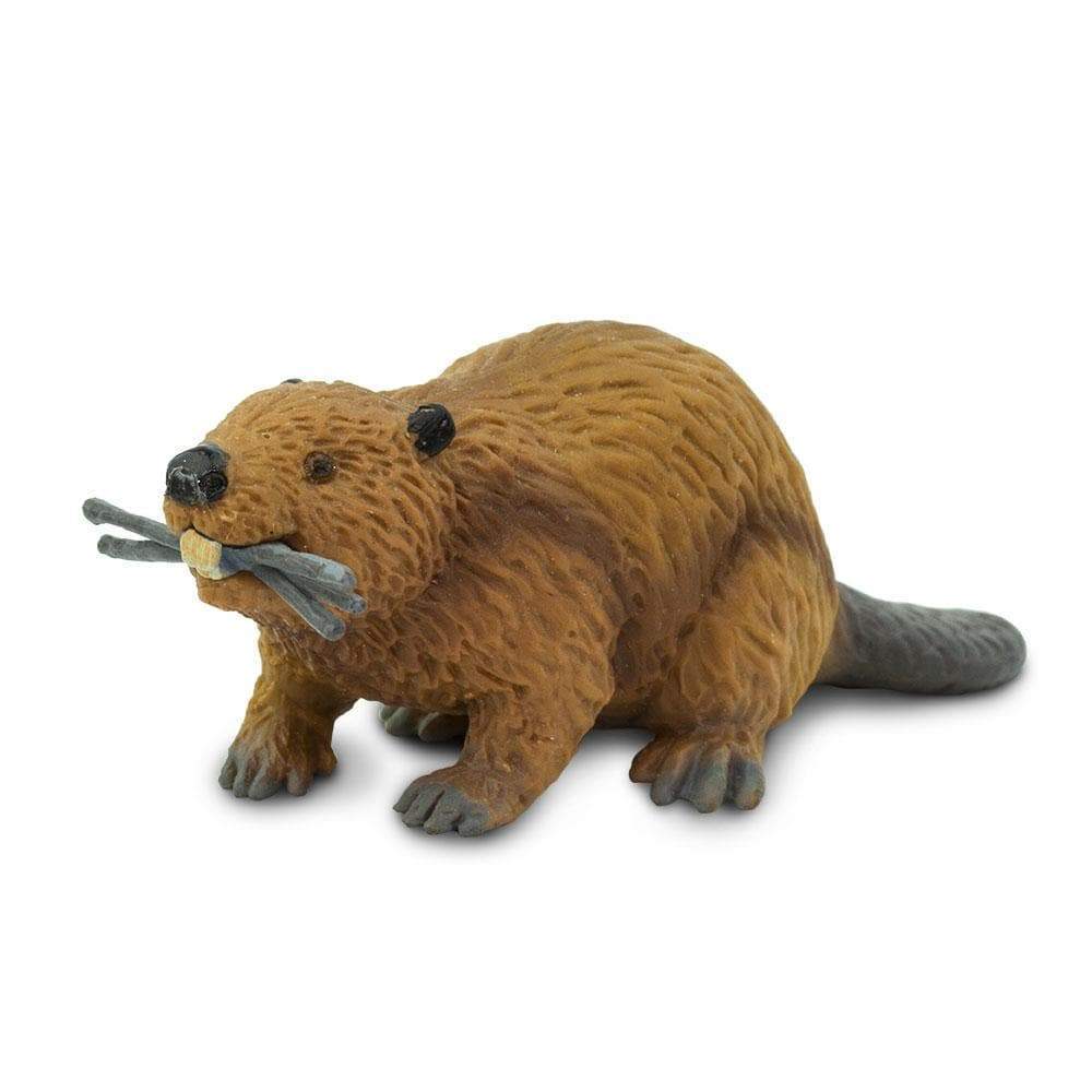 Figurină realistă castor – Safari Ltd