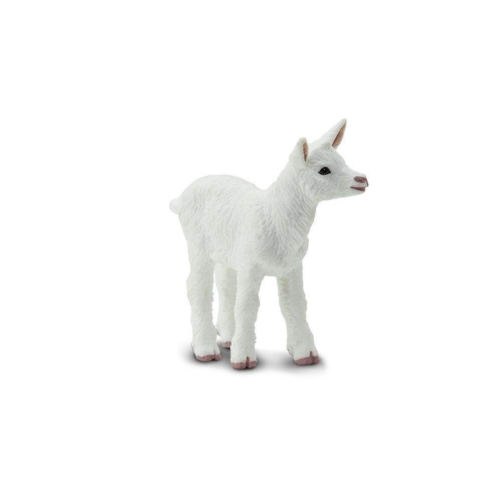 Figurină realistă ied – Safari Ltd