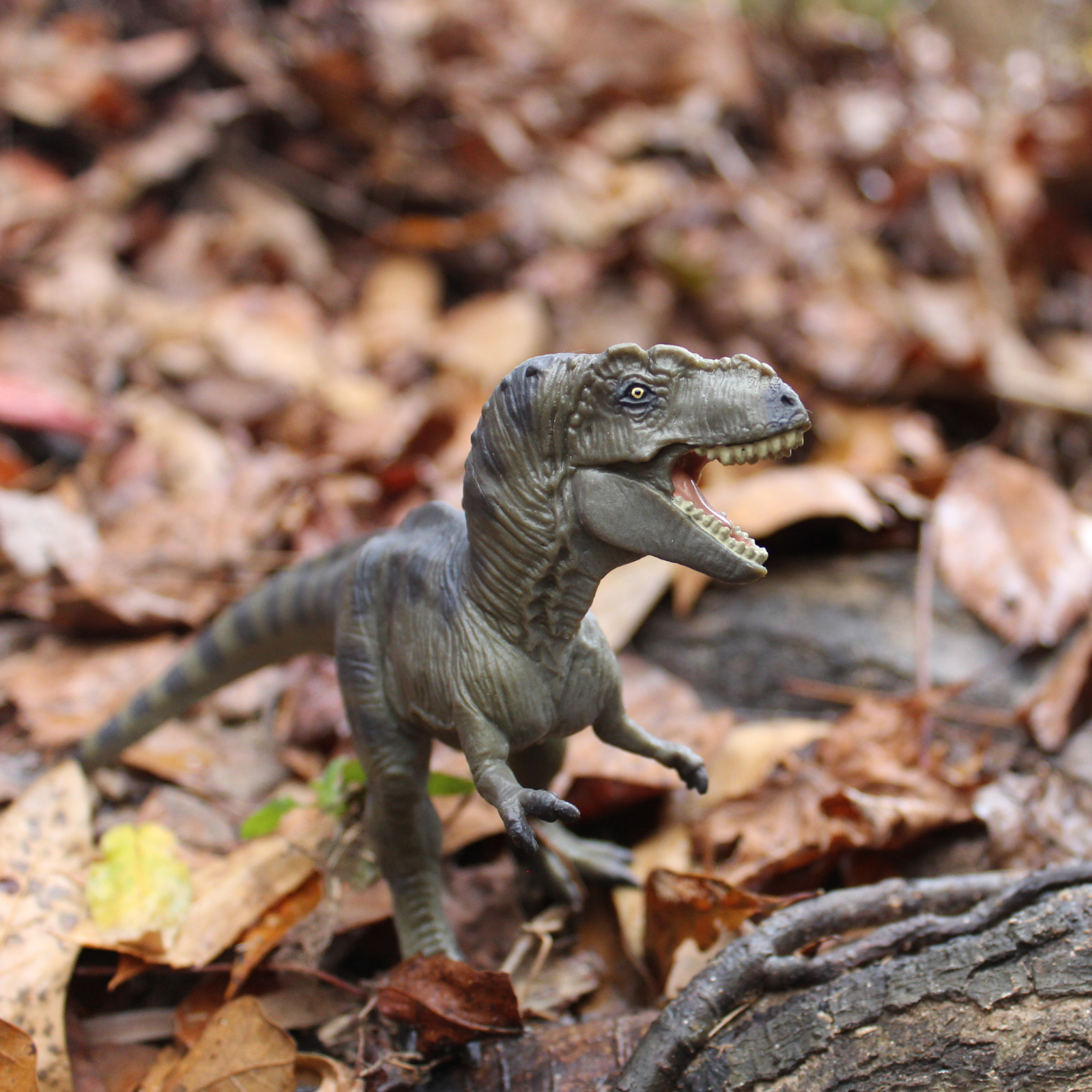 Figurină realistă Dinozaur Tyrannosaurus rex - Safari Ltd.