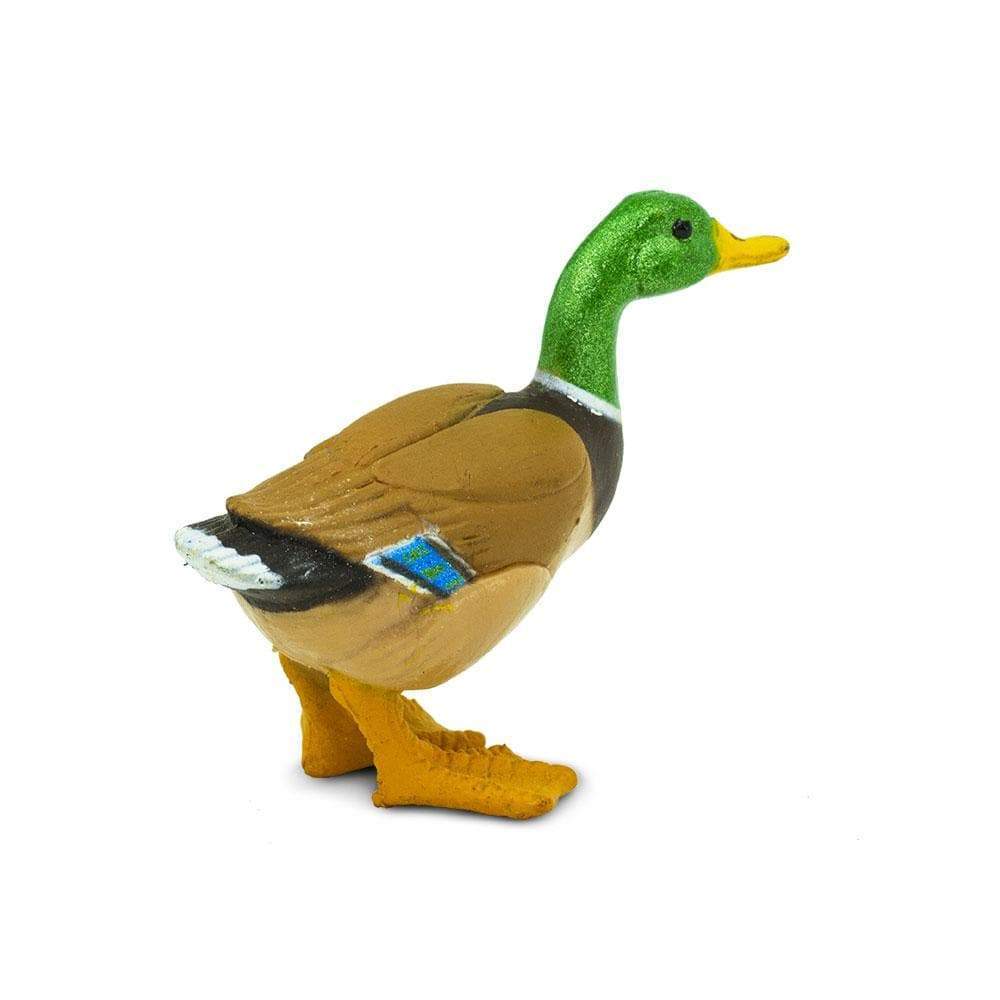 Figurină realistă rață sălbatică - Safari Ltd.