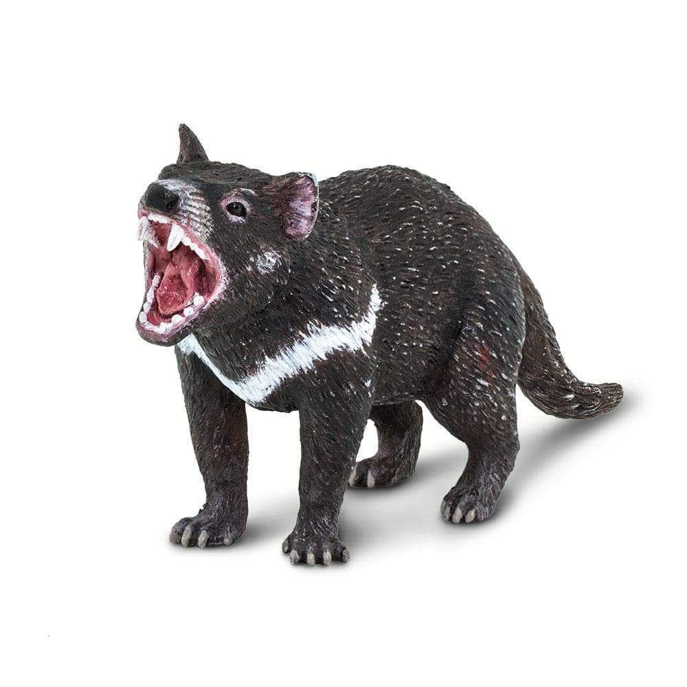 Figurină realistă Diavol tasmanian – Safari Ltd