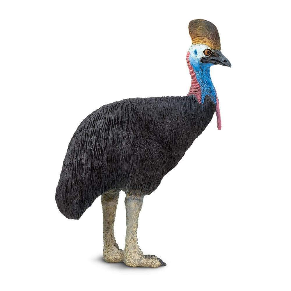 Figurină realistă casuar, 8,9 cm – Safari Ltd