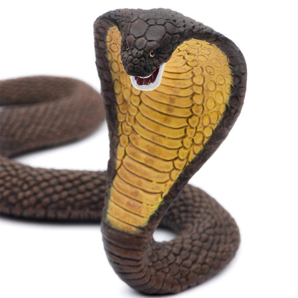 Figurină realistă cobra – Safari Ltd