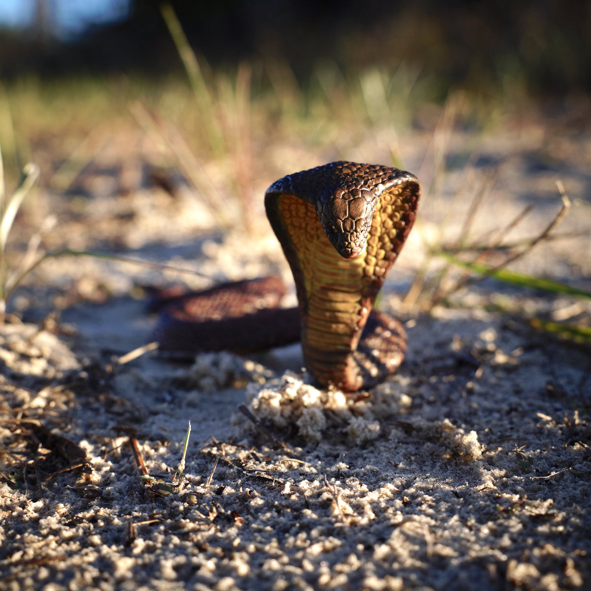 Figurină realistă cobra – Safari Ltd