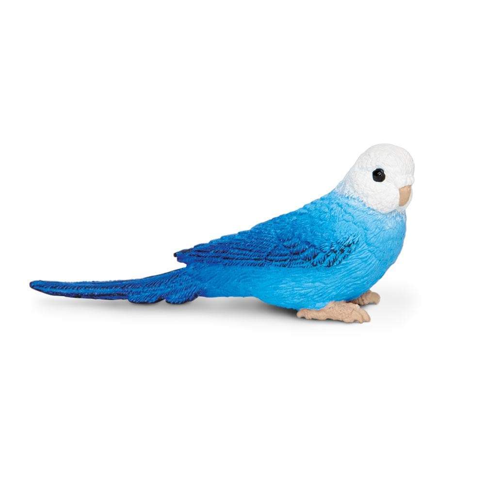 Figurină realistă Blue Budgie, 7,6 cm – Safari Ltd