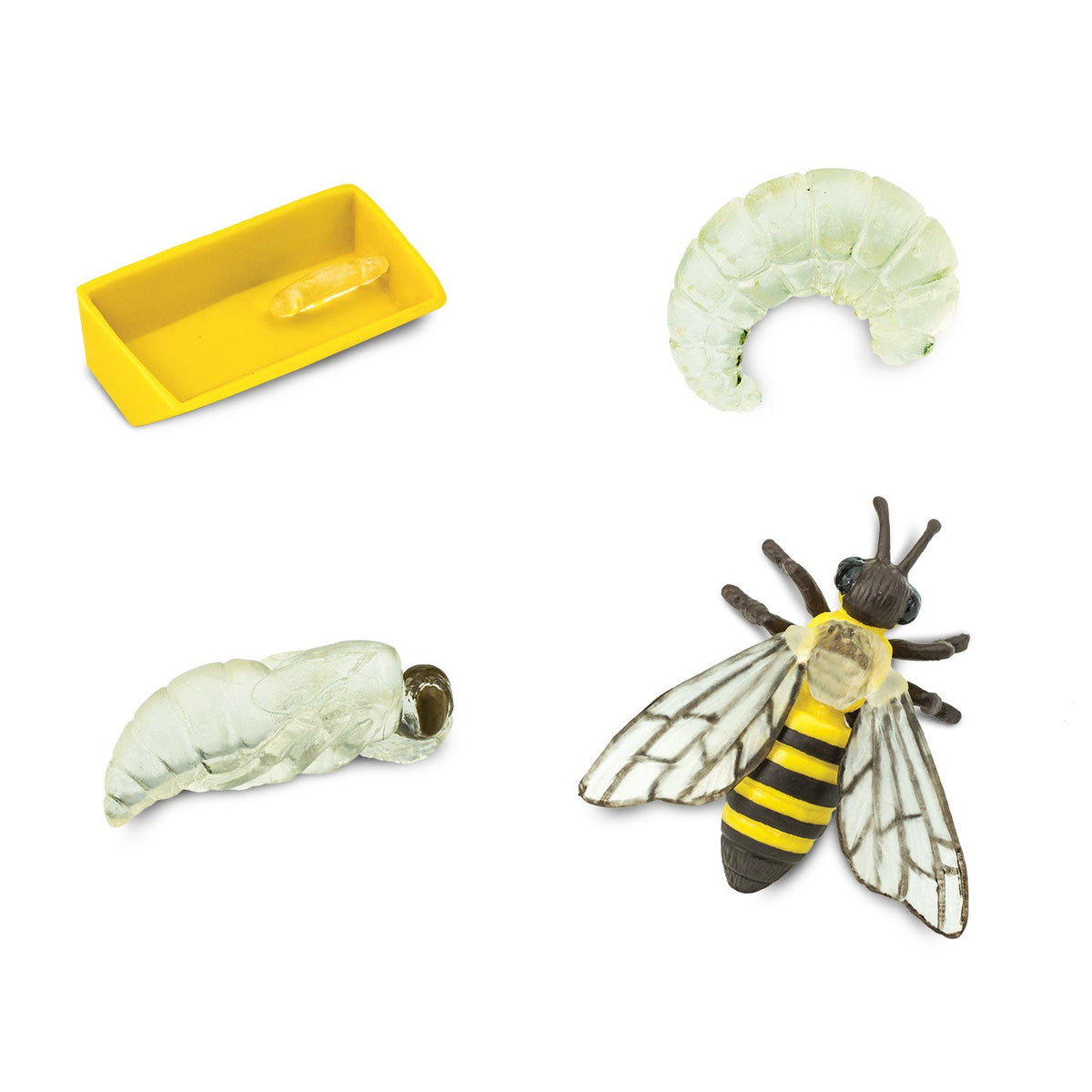 Ciclul de viață al albinei, set de 4 – Safari Ltd