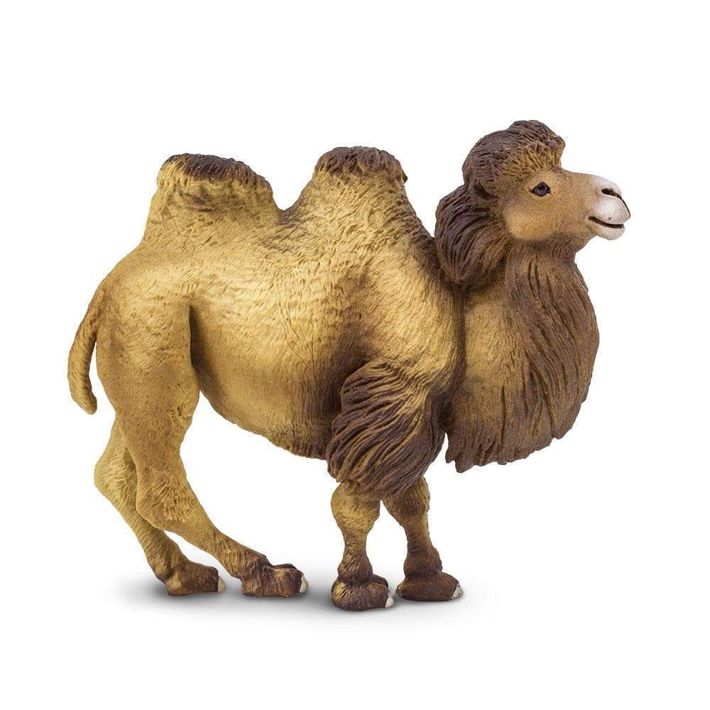 Figurină animal realistă cămilă bactriană, 10,8 × 9,5 cm - Safari Ltd.
