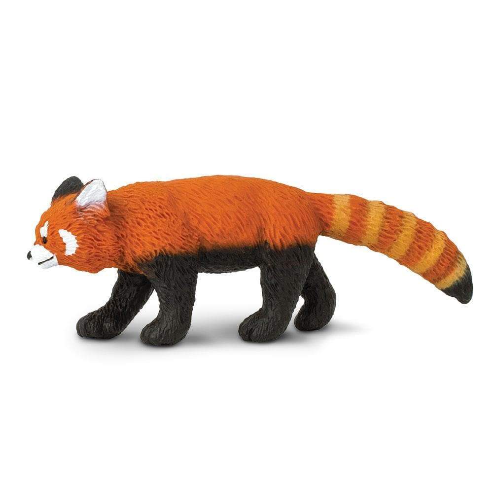 Figurină realistă panda roșu, 10,9 cm – Safari Ltd