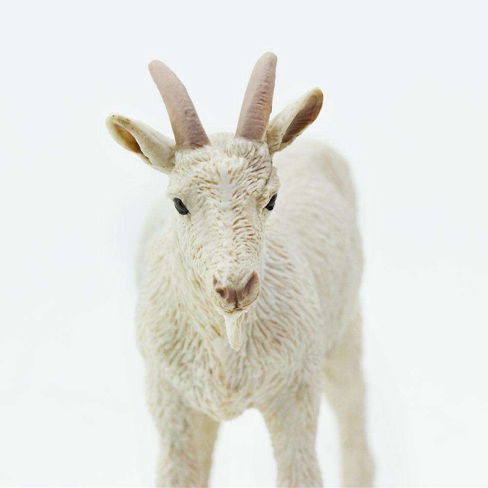 Figurină realistă capră albă - Safari Ltd.