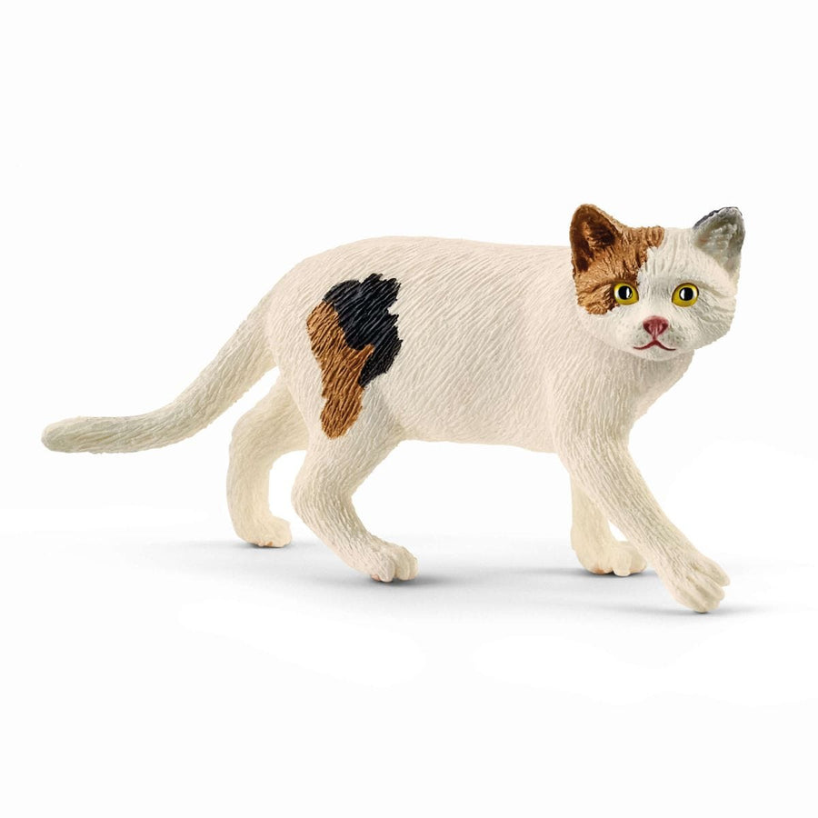 Figurină pisică American Shorthair, 1 piesă – Schleich