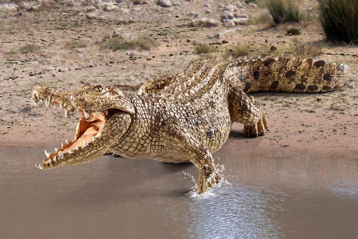 Figurină realistă crocodil - Schleich