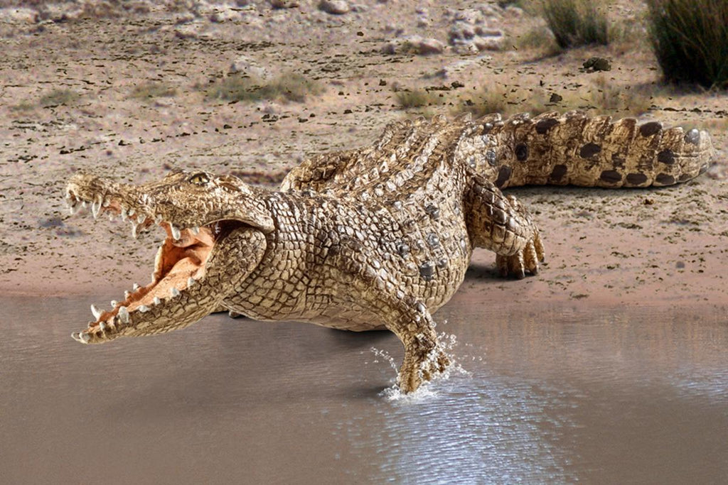 Figurină realistă crocodil de apă sărată cu maxilar mobil  – Schleich