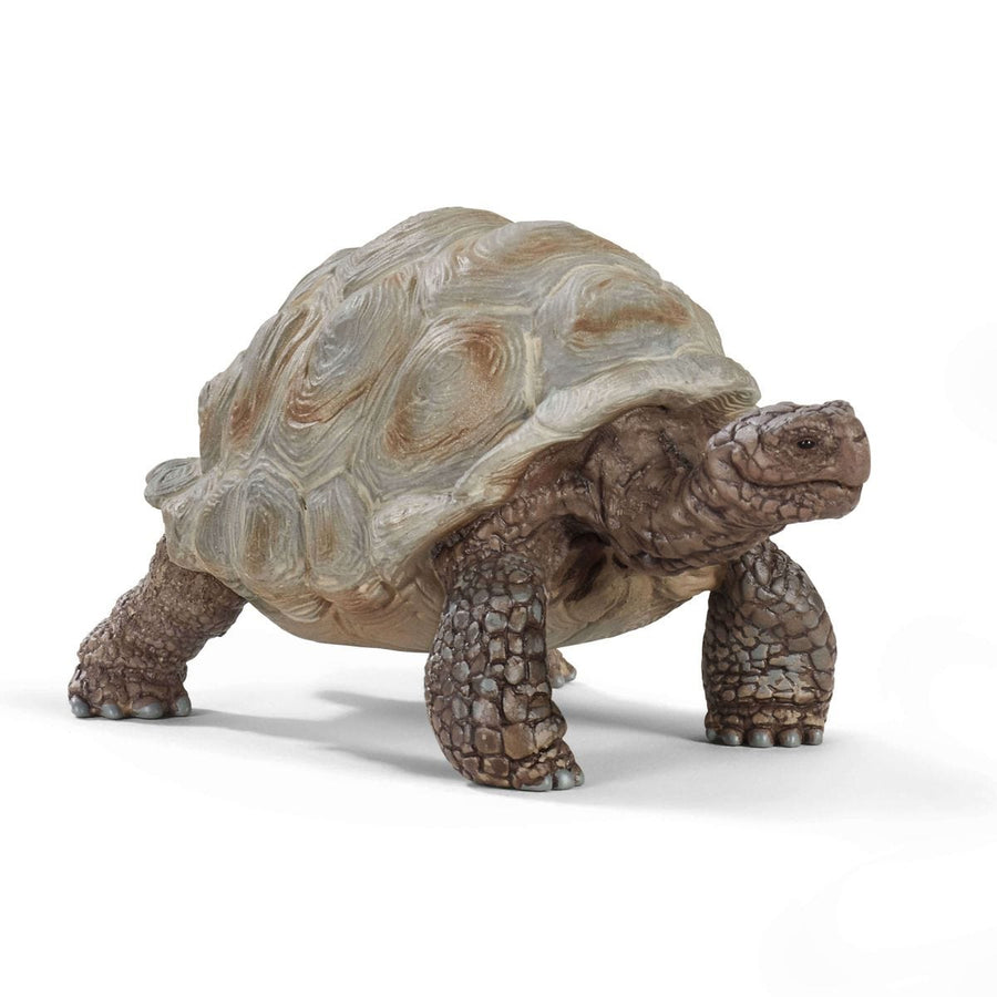 Figurină țestoasă uriașă realistă din plastic, 7,9 cm - Schleich WILD LIFE