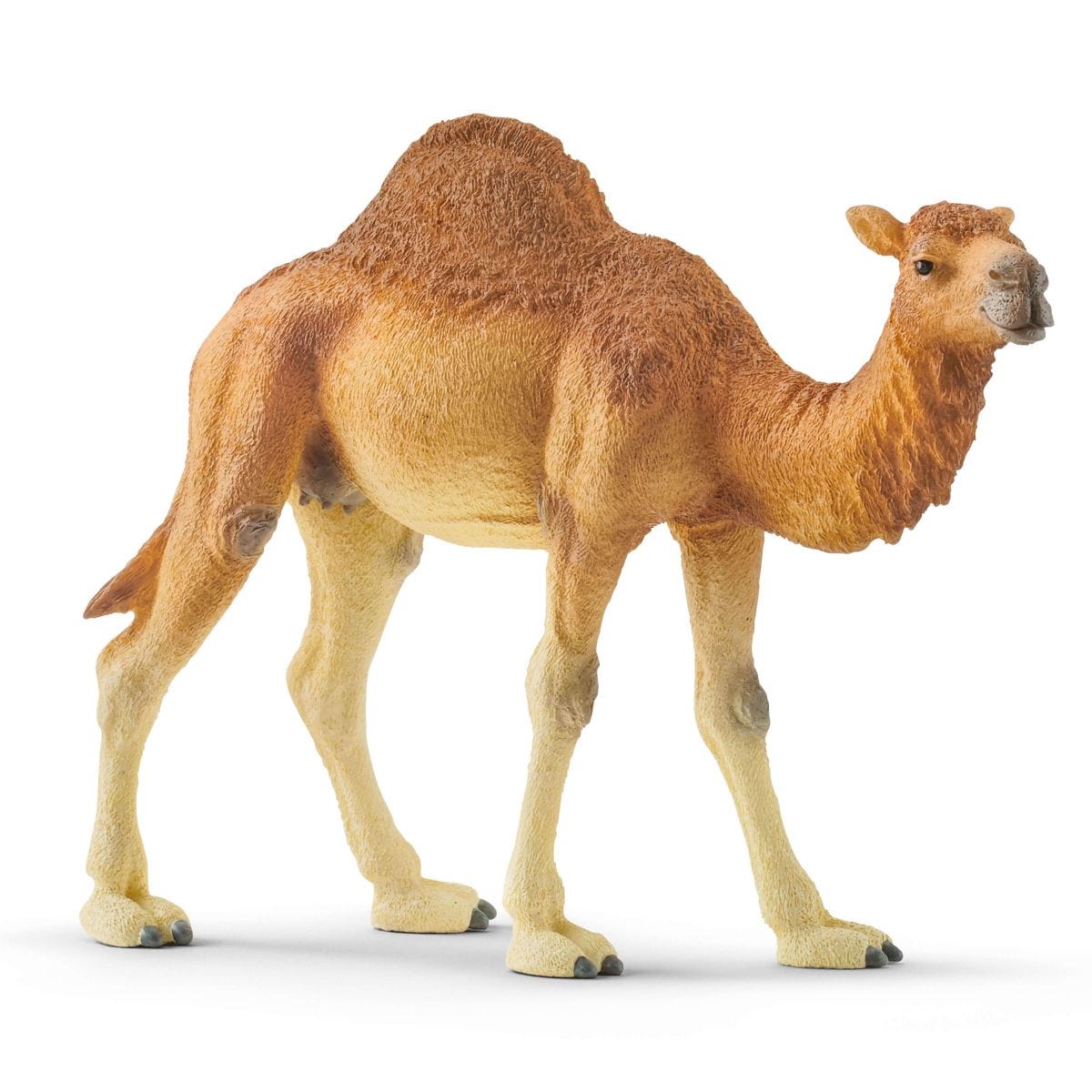Figurină dromader realistă din plastic, 14 cm - Schleich