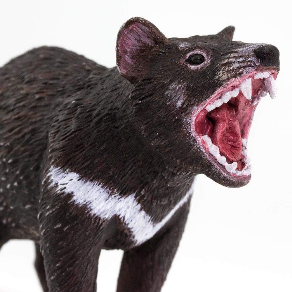 Figurină realistă Diavol tasmanian – Safari Ltd
