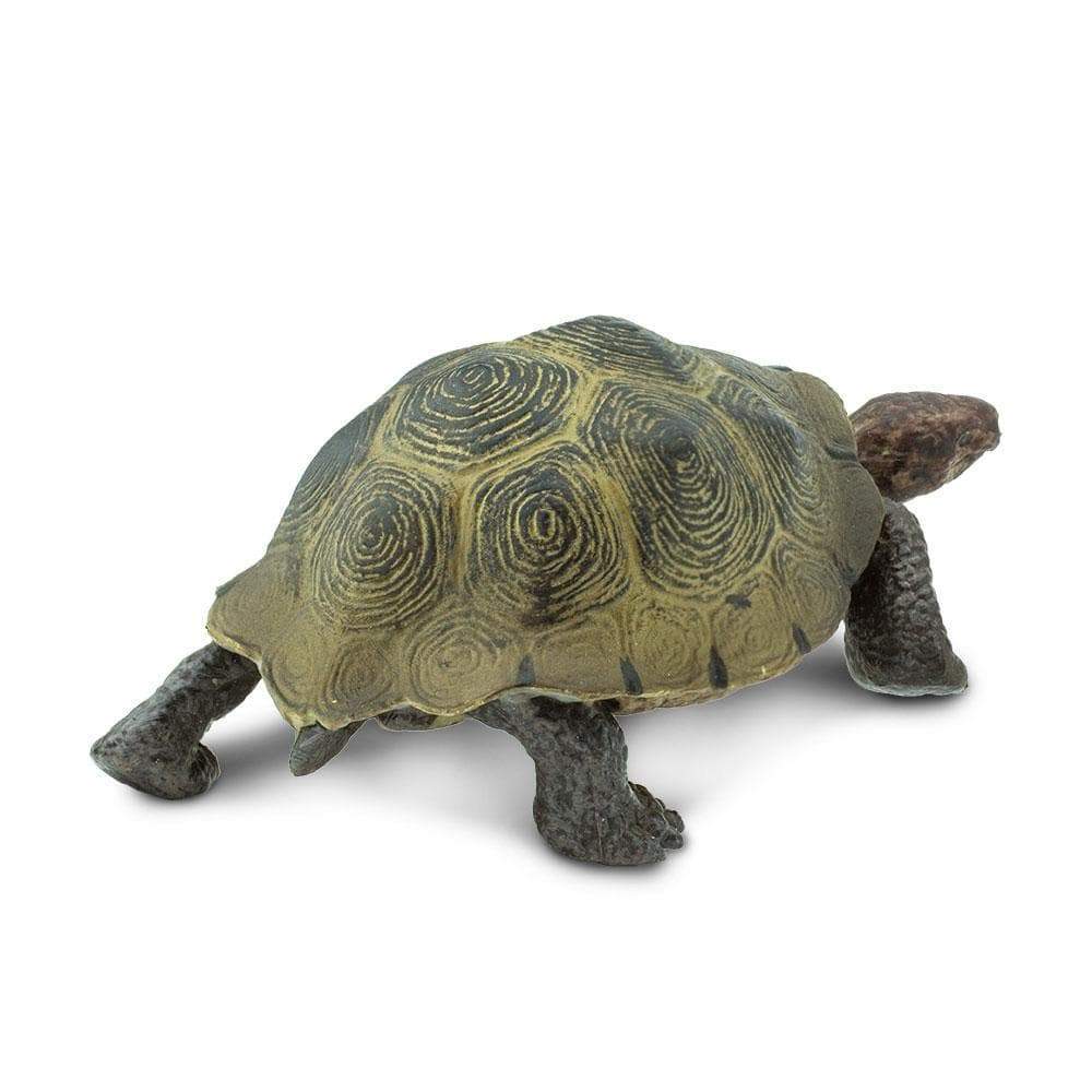 Figurină realistă broască țestoasă de deșert – Safari Ltd