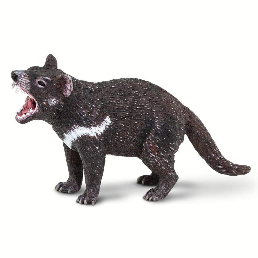 Figurină realistă Diavol tasmanian, 9 cm – Safari Ltd