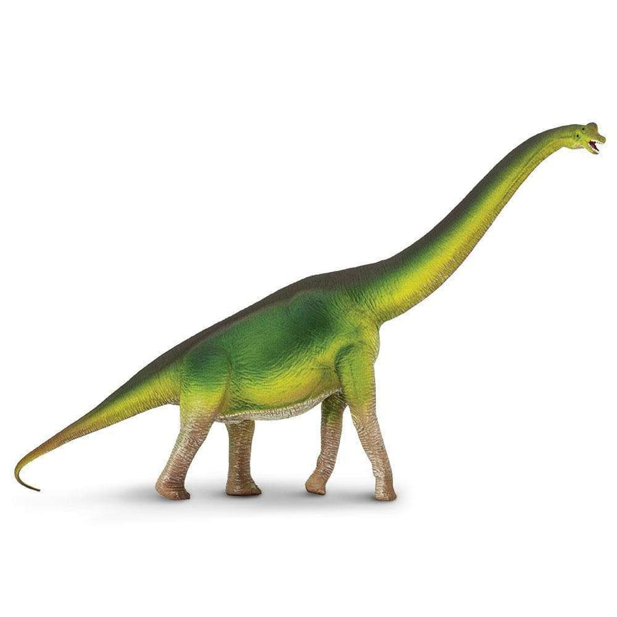 Figurină Brachiosaurus, 33 cm – Safari Ltd
