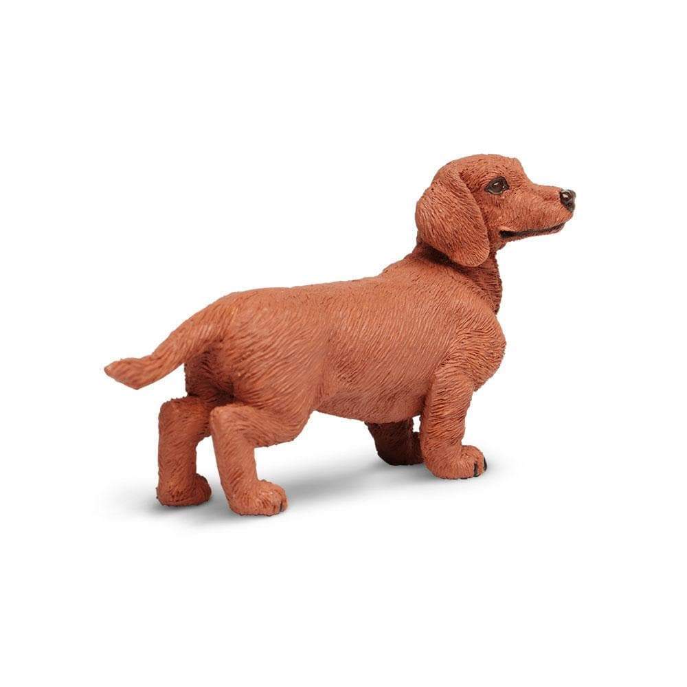 Figurină realistă câine Dachshund – Safari Ltd