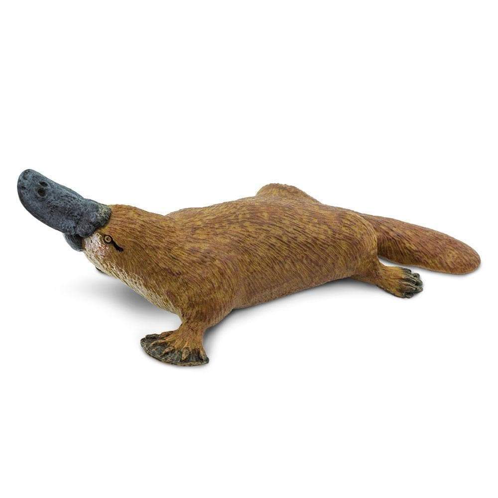 Figurină ornitorinc realistă, 12 cm – Safari Ltd