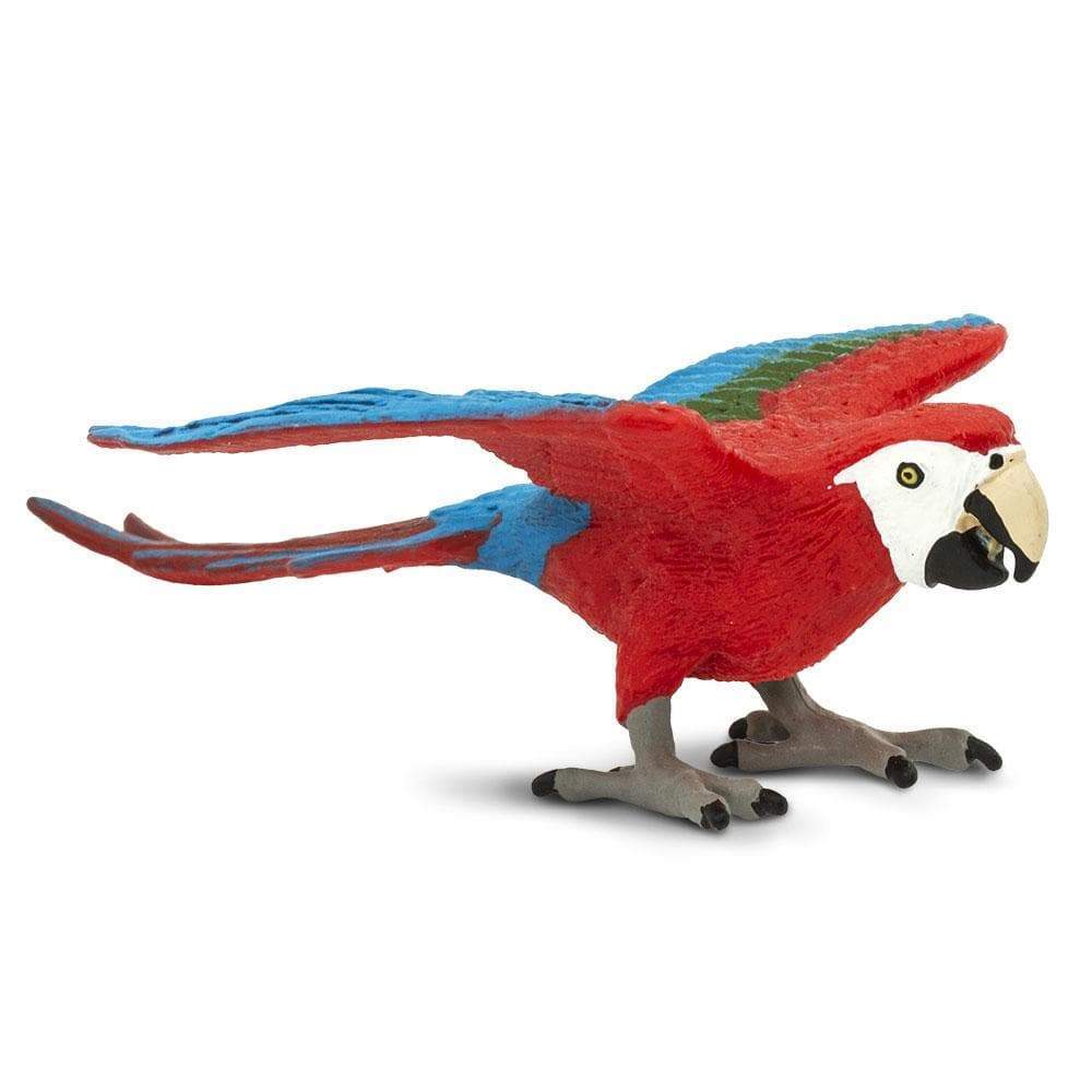 Figurină realistă papagal - Safari Ltd.