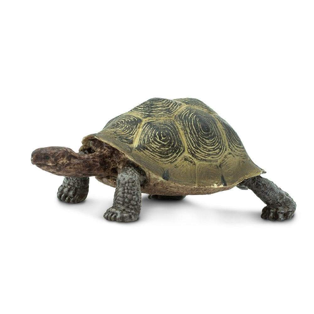 Figurină realistă broască țestoasă de deșert – Safari Ltd