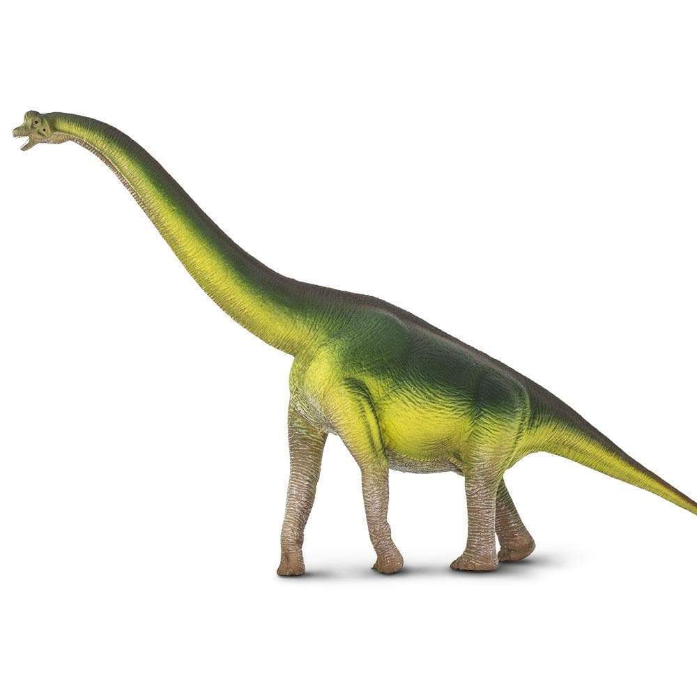 Figurină realistă Dinozaur Brachiosaurus - Safari Ltd