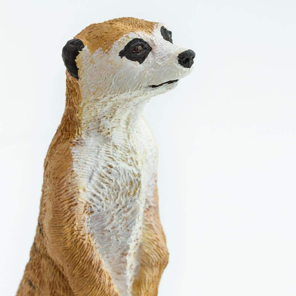 Figurină realistă suricată  – Safari Ltd