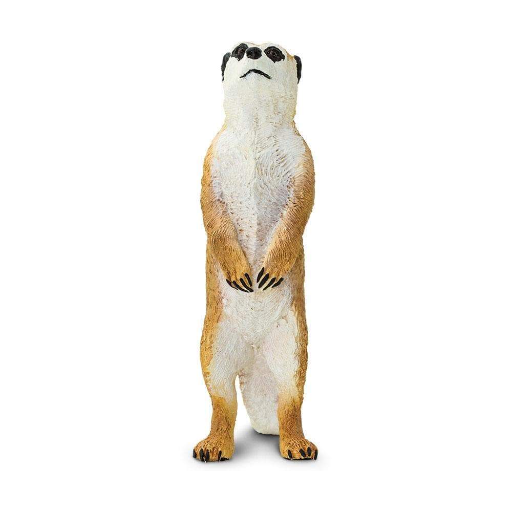 Figurină realistă suricată  – Safari Ltd