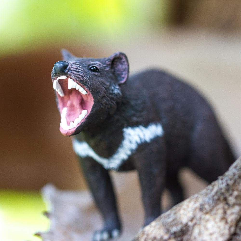 Figurină realistă Diavol tasmanian – Safari Ltd