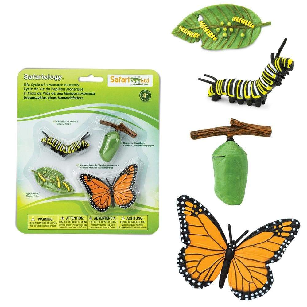 Ciclu de viață al fluturelui monarh, 4 piese – Safari Ltd