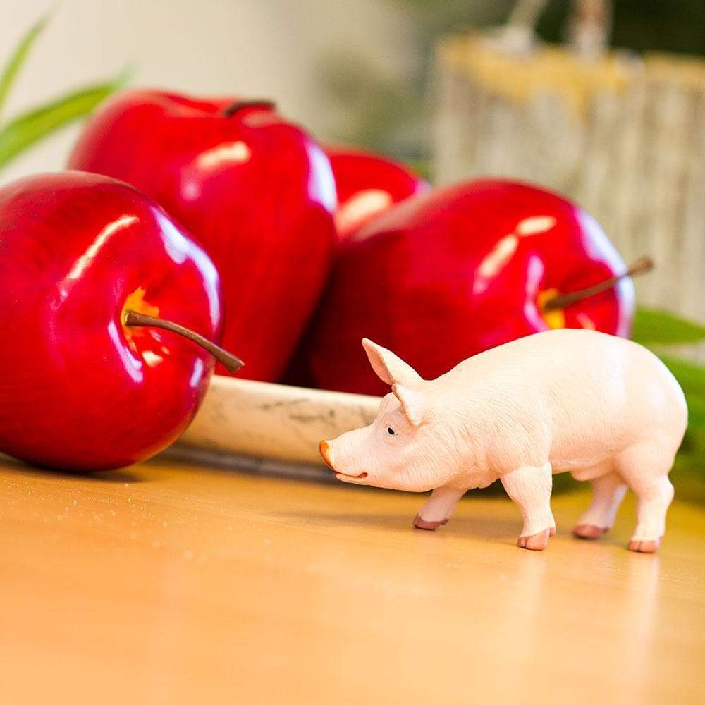 Figurină porc mascul - Safari Ltd.
