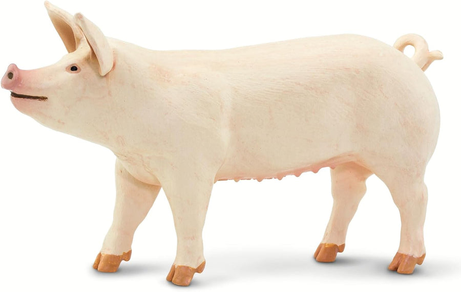 Figurină realistă porc alb, 10 cm – Safari Ltd.