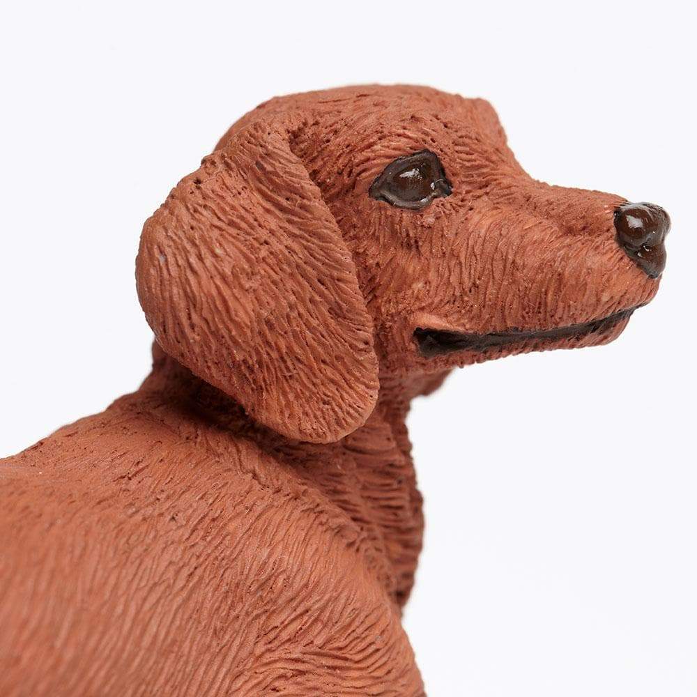Figurină realistă câine Dachshund – Safari Ltd