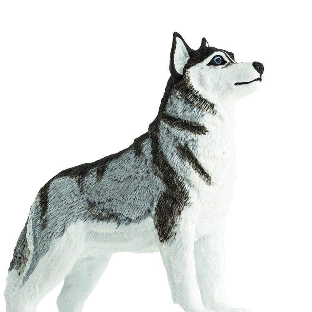 Figurină realistă câine Husky– Safari Ltd